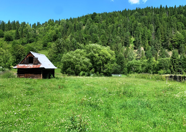 Predaj nehnuteľnosti v srdci krásnej goralskej obce – Osturňa