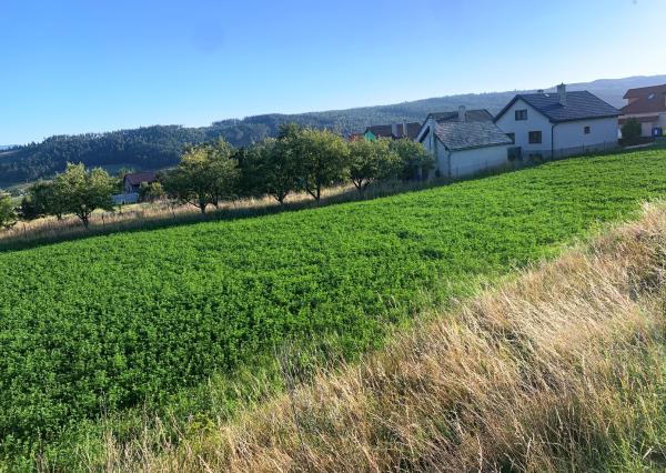 NA PREDAJ stavebný pozemok Hôrka