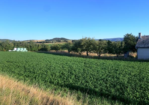 NA PREDAJ stavebný pozemok Hôrka