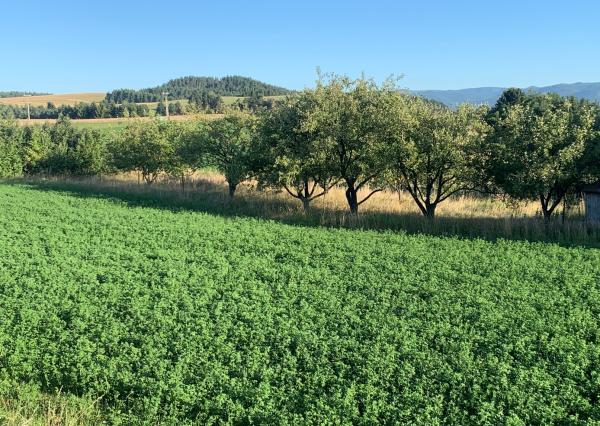 NA PREDAJ stavebný pozemok Hôrka